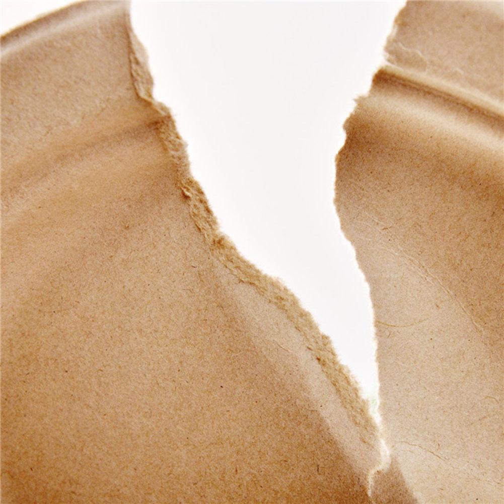 50 Pieces Of-6-7-9 Inch Biodegradable Compost High Quality Natural Paper Tray