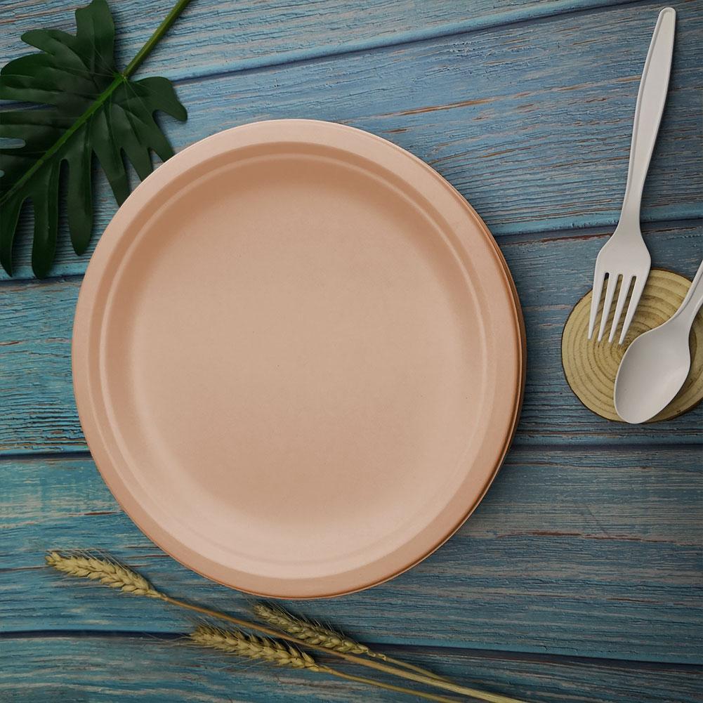 50 Pieces Of-6-7-9 Inch Biodegradable Compost High Quality Natural Paper Tray
