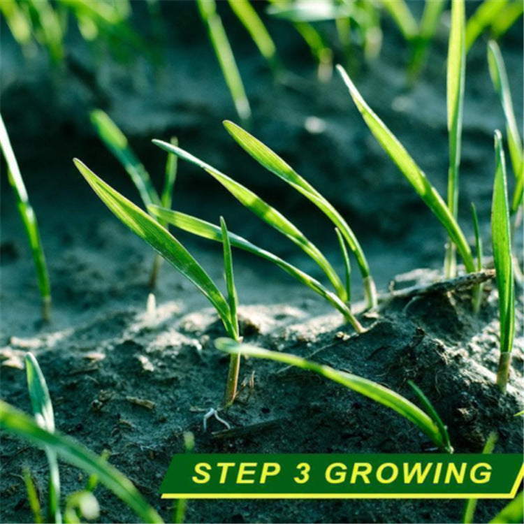 Biodegradable grass seed mat