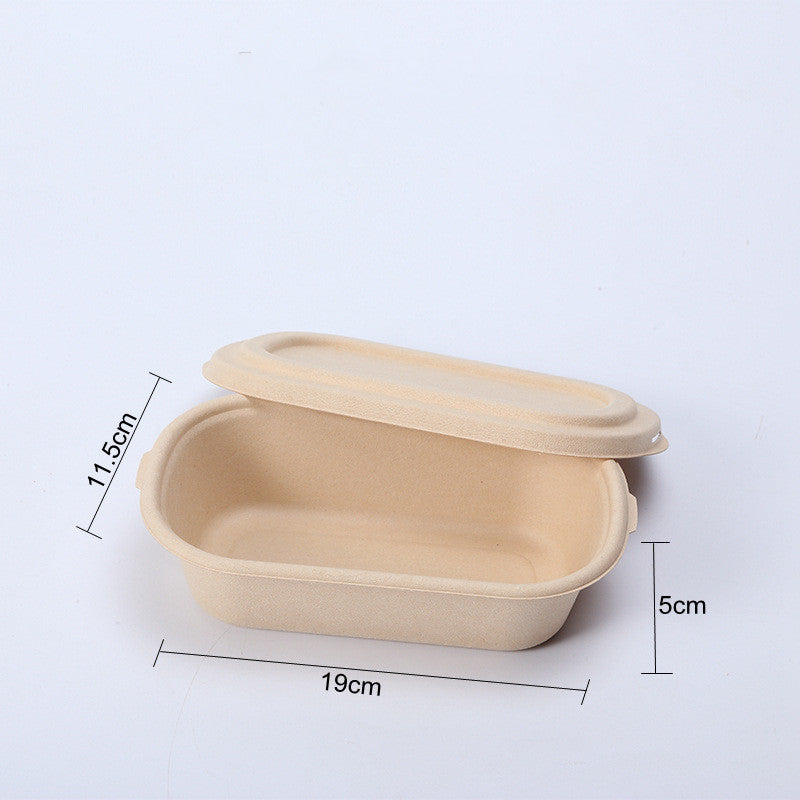 Disposable Cassette Pulp Salad Meal Green Biodegradable Boxes