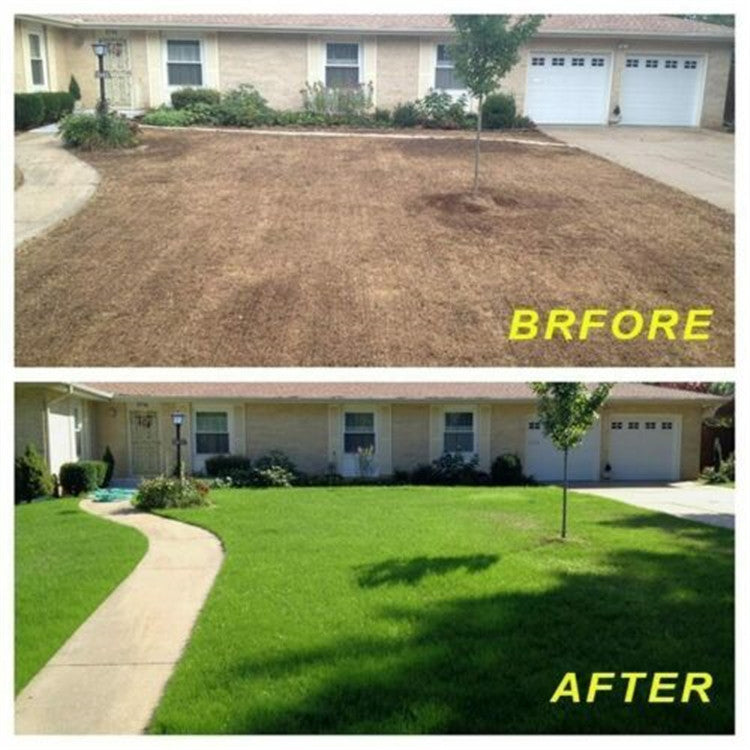 Biodegradable grass seed mat