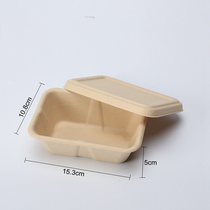 Disposable Cassette Pulp Salad Meal Green Biodegradable Boxes
