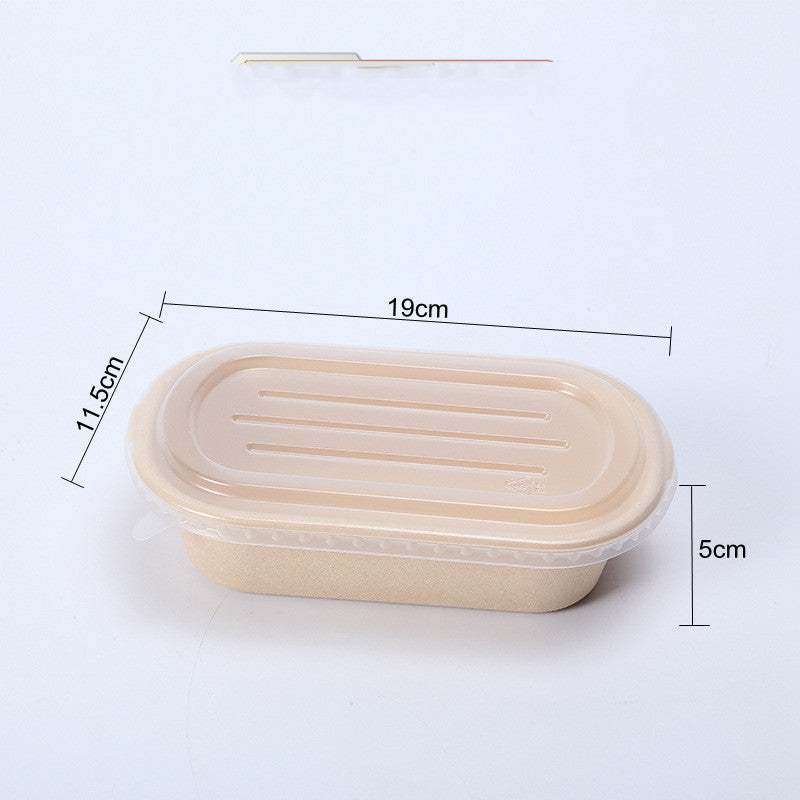 Disposable Cassette Pulp Salad Meal Green Biodegradable Boxes