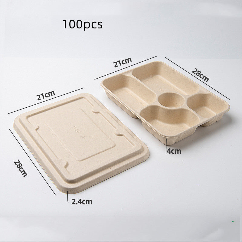 Disposable Biodegradable And Environmentally Friendly Lunch Box