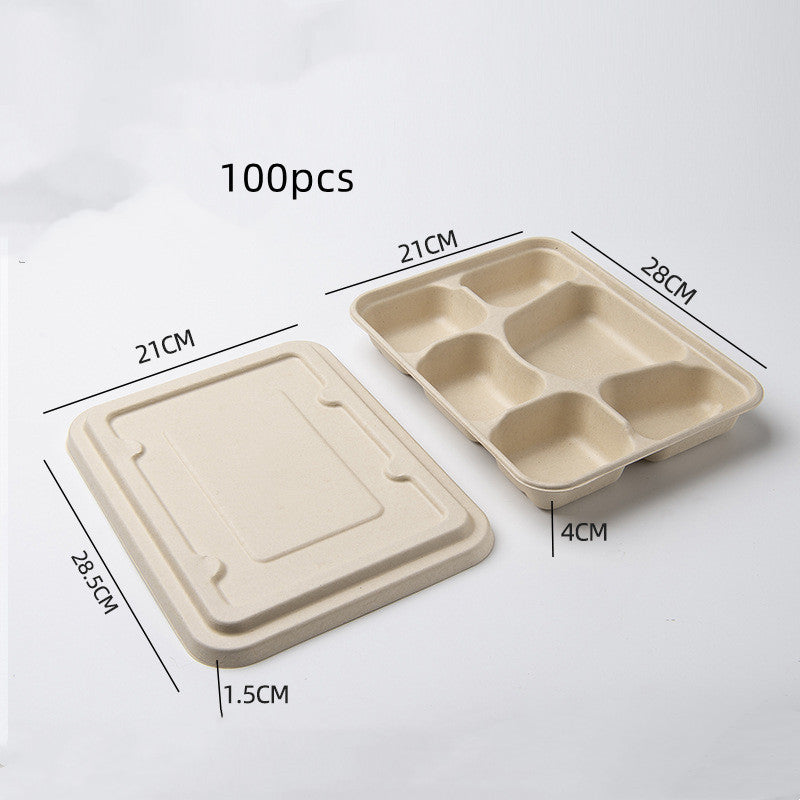 Disposable Biodegradable And Environmentally Friendly Lunch Box