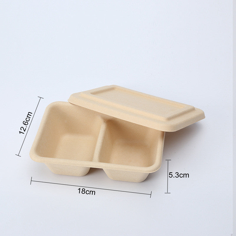 Disposable Cassette Pulp Salad Meal Green Biodegradable Boxes