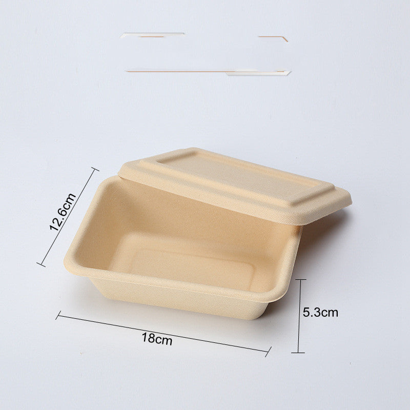 Disposable Cassette Pulp Salad Meal Green Biodegradable Boxes