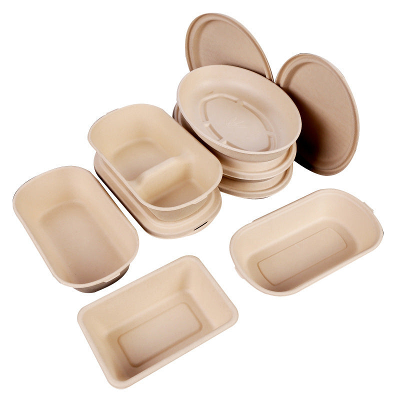 Disposable Cassette Pulp Salad Meal Green Biodegradable Boxes