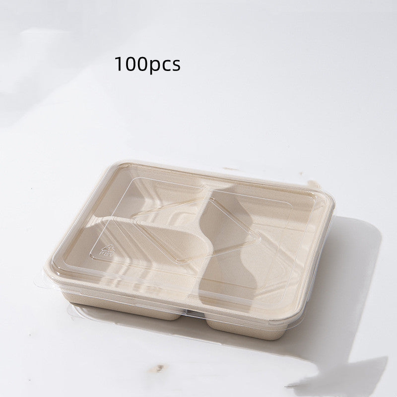 Disposable Biodegradable And Environmentally Friendly Lunch Box