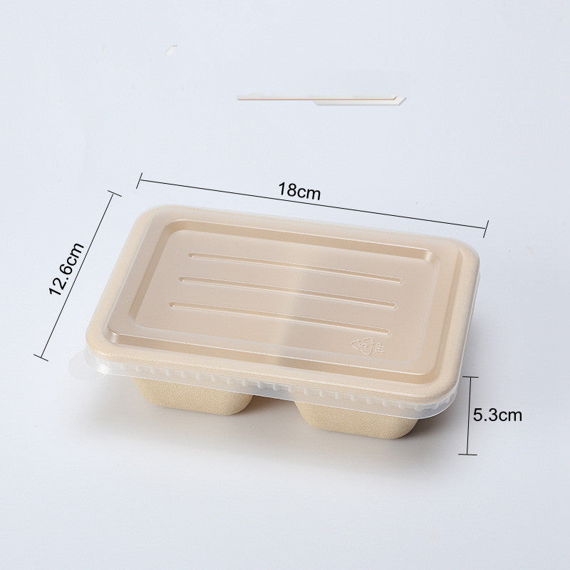 Disposable Cassette Pulp Salad Meal Green Biodegradable Boxes