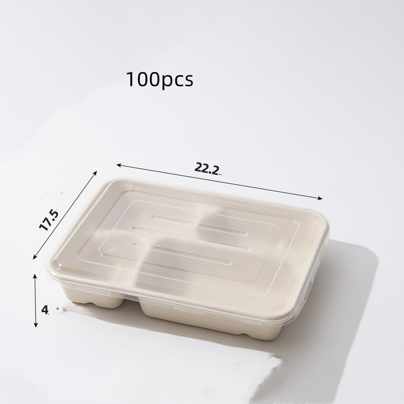 Disposable Biodegradable And Environmentally Friendly Lunch Box