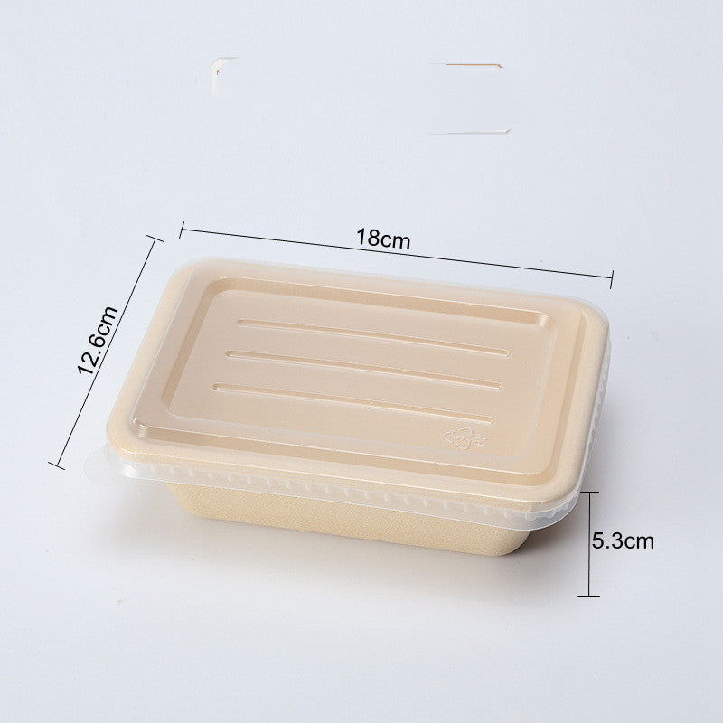 Disposable Cassette Pulp Salad Meal Green Biodegradable Boxes